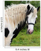 Gypsy Horse Wall Mural