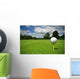 Ball view from golf course Wall Mural