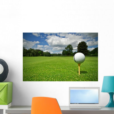 Ball from Golf Course Wall Mural shown on a wall