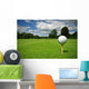 Ball view from golf course Wall Mural