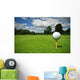 Ball view from golf course Wall Mural