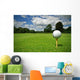 Ball view from golf course Wall Mural