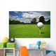 Ball view from golf course Wall Mural