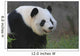 Panda17