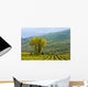 Vineyard Wall Mural