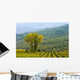 Vineyard Wall Mural