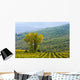 Vineyard Wall Mural