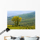 Vineyard Wall Mural