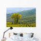 Vineyard Wall Mural