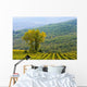Vineyard Wall Mural