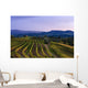 Vineyard, near Ulignano Wall Mural