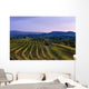 Vineyard, near Ulignano Wall Mural