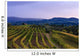 Vineyard, near Ulignano Wall Mural
