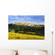 Vineyards and San Gimignano Wall Mural
