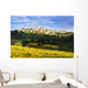 Vineyards and San Gimignano Wall Mural