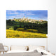 Vineyards and San Gimignano Wall Mural