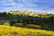 Vineyards and San Gimignano Wall Mural