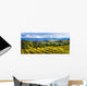 Vineyard Wall Mural