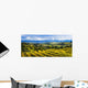 Vineyard Wall Mural