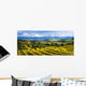 Vineyard Wall Mural