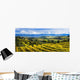 Vineyard Wall Mural