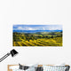 Vineyard Wall Mural