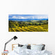 Vineyard Wall Mural