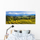 Vineyard Wall Mural