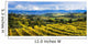 Vineyard Wall Mural