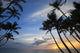 Palm trees at sunset, Keawekapu Beach Wall Mural