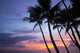 Palm trees at sunset, Keawekapu Beach Wall Mural