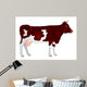 Cow Milk Dairy Cattle