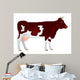 Cow Milk Dairy Cattle