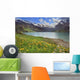 Flowering Dandelions over Mountain Wall Decal