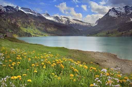 Flowering Dandelions over Mountain Wall Decal