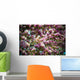 Beautiful pink magnolias blossoming Wall Mural