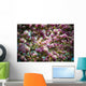 Beautiful pink magnolias blossoming Wall Mural