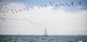Sailboats Cruise Waters Lake Wall Decal
