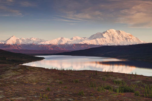 Alpenglow on Denali and the Alaska Range with Wonder Lake Wall Mural