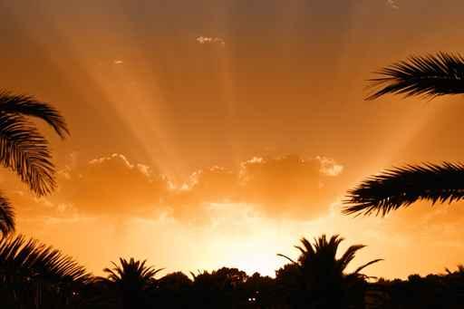 Sunset Wall Decal Design 12