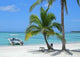 Motorboat Caribbean Beach Wall Decal