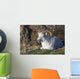 Dall Sheep Ram lying on a hillside in Denali National Park Wall Mural
