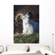 Dall Sheep Ram lying on a hillside in Denali National Park Wall Mural