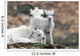 Dall Sheep ewe watching over two lambs Wall Mural