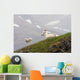 Dall Sheep ewe and her lamb in Denali National Park, Interior Alaska Wall Mural