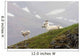 Dall Sheep ewe and her lamb in Denali National Park, Interior Alaska Wall Mural