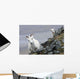 Dall Sheep ewe and her lamb in Denali National Park, Interior Alaska Wall Mural