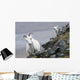 Dall Sheep ewe and her lamb in Denali National Park, Interior Alaska Wall Mural