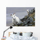 Dall Sheep ewe and her lamb in Denali National Park, Interior Alaska Wall Mural