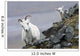 Dall Sheep ewe and her lamb in Denali National Park, Interior Alaska Wall Mural